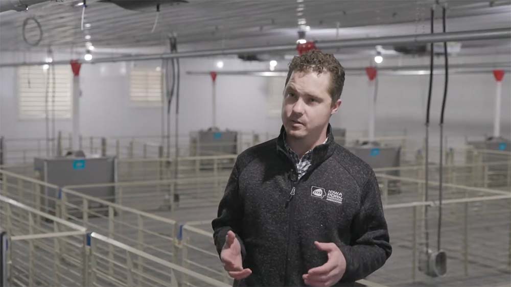 Man speaking in an indoor pig stall.