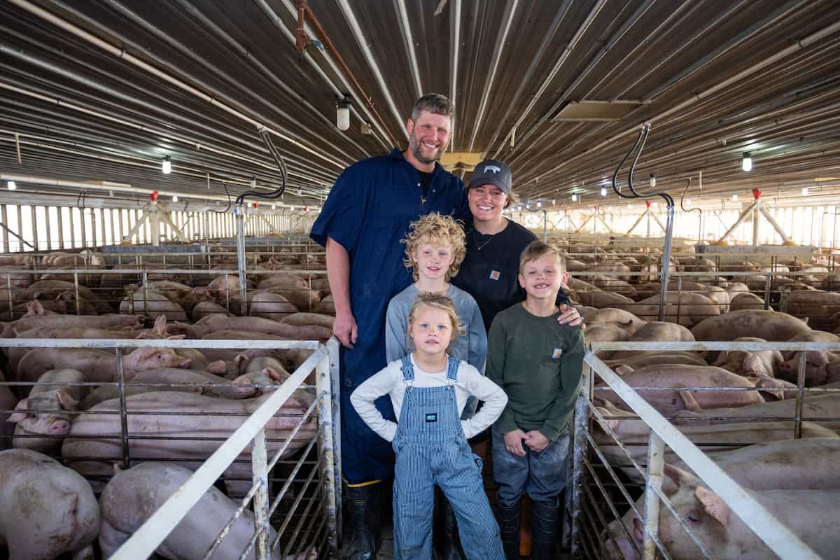 Mother, father and three children pose before pigs in pens