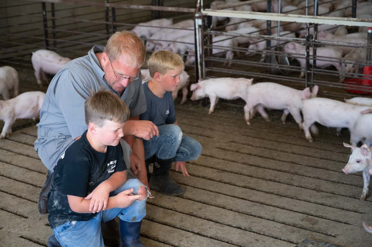 Iowa family farmer Brad Lundell caring for piglets with the next generation of pig farmers